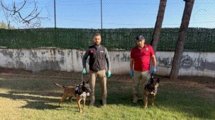 Hector ve Mailo, Batman’da uyuşturucu tacirlerinin korkulu rüyası oldu