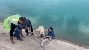 İki çocuklu kahraman anne Fırat’a düşen kangalı böyle kurtardı