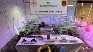 İklimlendirme sistemi ile kapalı ortamda kenevir yetiştiren şahıs tutuklandı