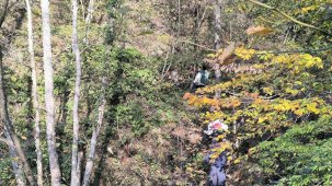 Kayıp annenin cesedini kuzgunu takip eden vatandaşlar bulmuş