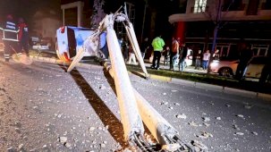 Kontrolden çıkan otomobil, direği ve ağacı devirdi: 2 kişi yaralandı, kurtarma anları kamerada