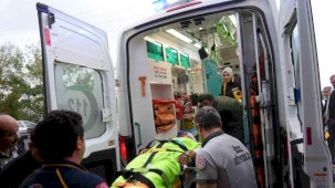 Mantar toplarken ayının saldırısına uğrayan imam yaralandı