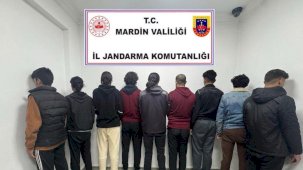 Mardin’de 9 düzensiz göçmen yakalandı