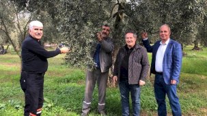 Marmarabirlik’e sert promosyon çağrısı: 700 milyon lira ne oldu?