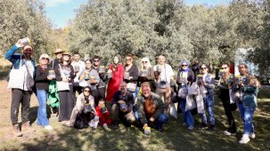 Mudanya'da zeytin hasadı başladı