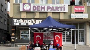 Muşlu annelerin evlat nöbeti sürüyor