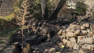 Nevşehir’de bahçe temizliği facia ile sonuçlandı