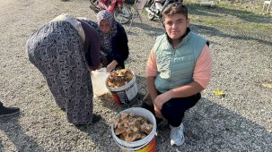 Okul harçlığını 