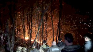 Ordu’da ormanlık alanda yangın