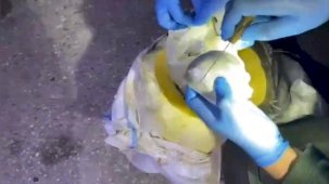 Osmaniye’de bal kabağından uyuşturucu çıktı