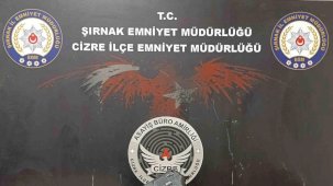 Şırnak’ta iş yeri sahibini silahla tehdit eden şahıs 20 dakikada yakalandı