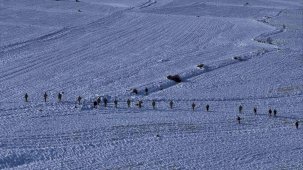 Sivas’ta 8 gündür kayıp olan yaşlı adamı arama çalışmaları sürüyor