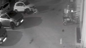 Sokak köpekleri park halindeki aracı parçaladı: O anlar kamerada