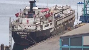 Susuzluktan boru yalayan inekler