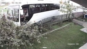 Tekirdağ’da servis minibüsü ağaca çarptı: 1 yaralı