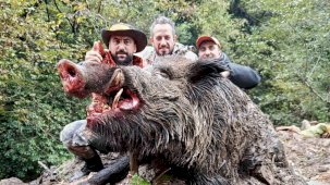 Trabzon’da sürek avında 300 kg’lık domuz fişeklerin hedefi oldu