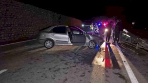 Yola çıkan yaban hayvanı kazaya neden oldu: 4 yaralı