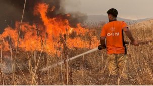 Yüksekova kuş cenneti alevlere teslim: Yangın kontrol altına alınamıyor