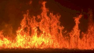 Yüksekova’da kuş cenneti Nehil Sazlığı’ndaki yangın yerleşim yerlerini tehdit ediyor