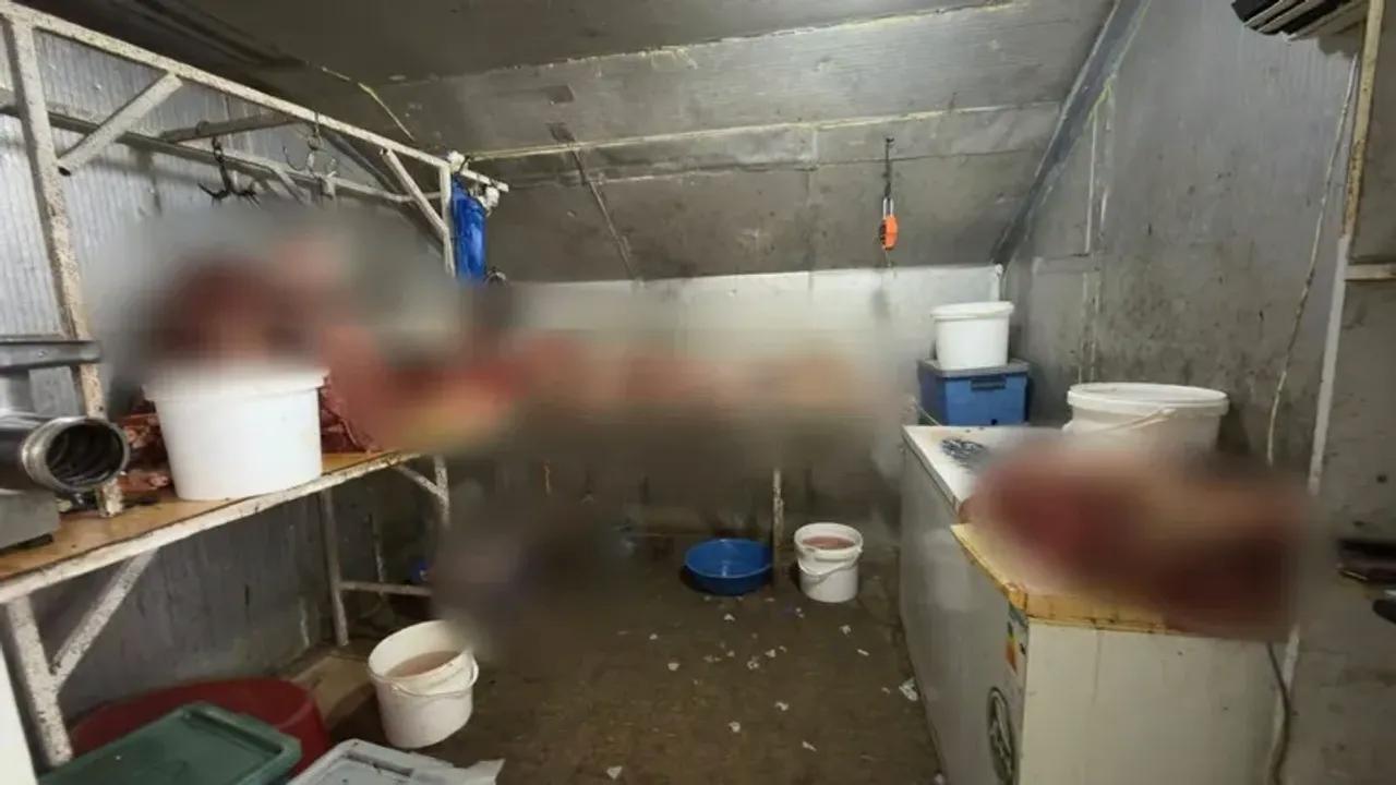 At kesimi yapan işletmeye operasyon