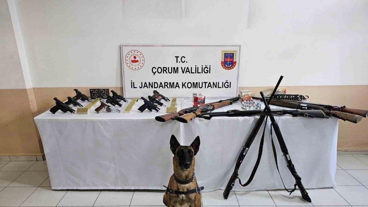 Çorum jandarmasından ’düğün magandaları’na operasyon : 11 gözaltı