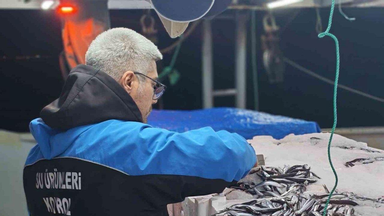 Gelibolu’da 45 kilo balığa el konuldu, 37 bin 770 lira para cezası kesildi
