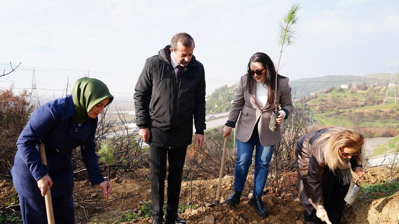 Gürsu’da ekosistemi yeniden ayağa kaldıran adım