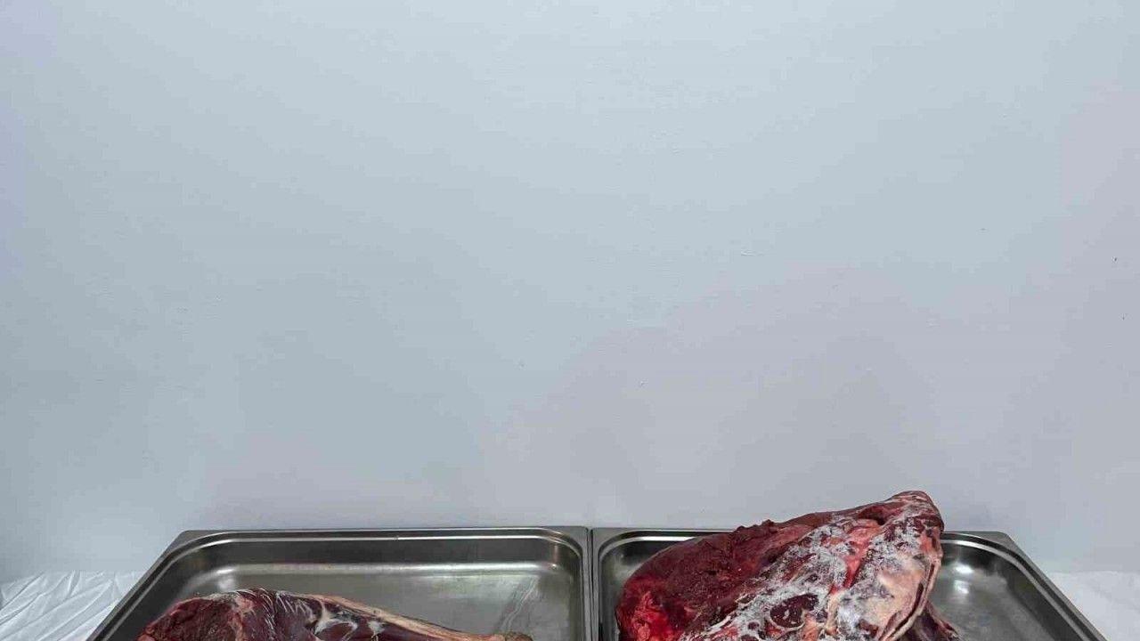 Karaman’da yaban keçisi avlayan şahıslara 954 bin 208 lira ceza