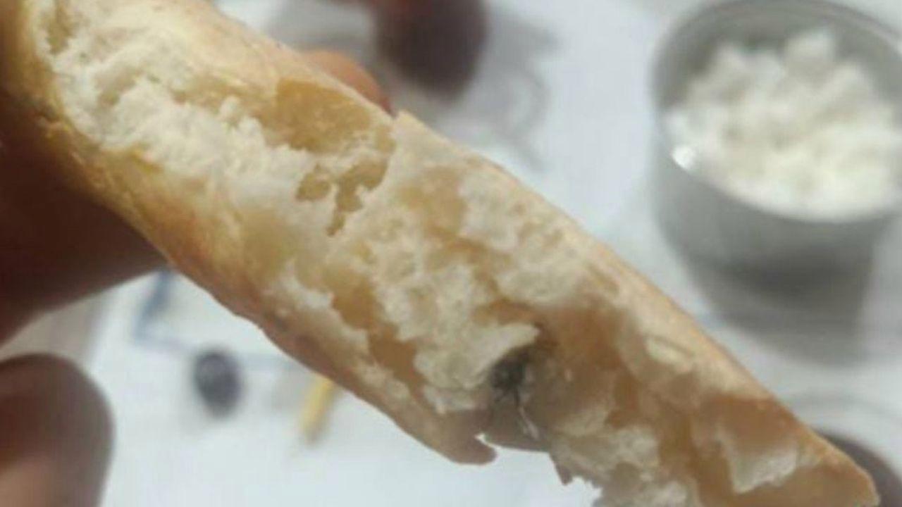 Kurtalan’da ekmeğin içinden sinek çıktı