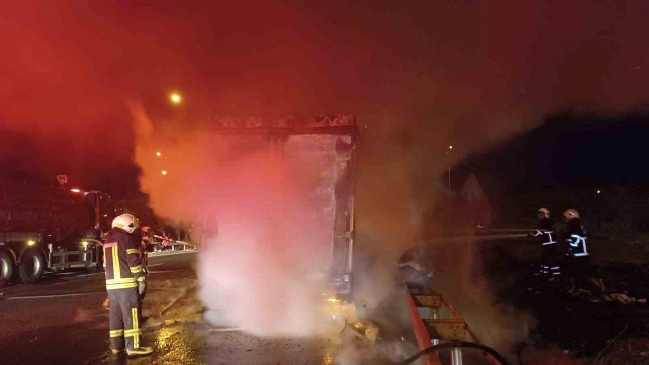 Şanlıurfa’da beyaz eşya yüklü tır alev alev yandı