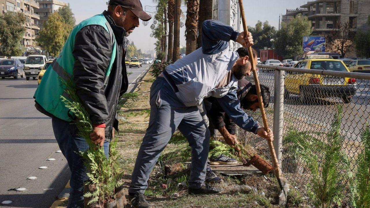 Suriye savaşın yaralarını sarıyor: 10 Bin fidan ekilecek