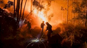 AB ormanları 2025'teki yangınlarda en büyük kaybı yaşadı