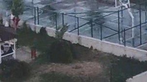 Ankara’da iki kardeşe saldıran pitbullun sahibinin, köpeğini tasmasız ve ağızlıksız gezdirdiği görüntüler ortaya çıktı