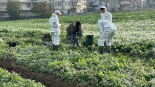 Ata Tohumundan Üretim Bursa Kent Lokantası’nda