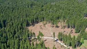 Bazı alanlar orman sınırları dışına çıktı: 11 il etkilendi