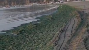 Bursa’da Eşkel sahili için vatandaş isyanda: Üvey evlat muamelesi görüyoruz