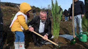 Bursa'da yangın sonrası ilk fidanlar toprakla buluştu