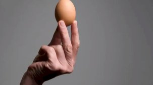 Çalınan yumurta tam 820.000 TL değerinde