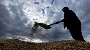 Çiftçilere yaklaşık 1,7 milyar lira tarımsal destekleme ödemesi bugün yapılacak