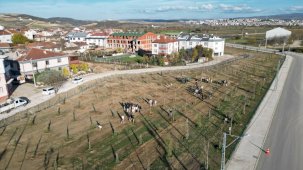 İnegöl'den yeşil seferberlik