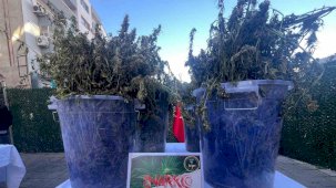 İzmir’de tek operasyonda 3 milyon uyuşturucu hap ele geçti: 46 tutuklama