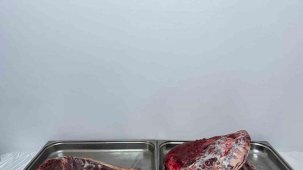 Karaman’da yaban keçisi avlayan şahıslara 954 bin 208 lira ceza