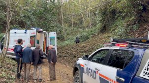 Kestiği ağacın çarptığı vatandaş uçuruma yuvarlandı