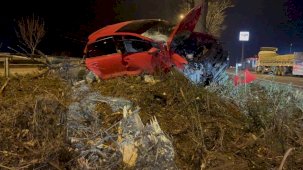 Kontrolden çıkan araç ağacın üzerine çıktı