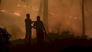 Orman yangını çıkaran sanığın en az 10 yıl hapsi istendi