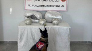 Şanlıurfa’da 25 kilogram uyuşturucu madde ele geçirildi