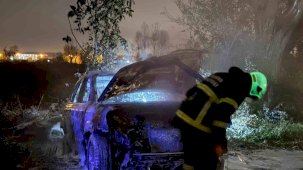 Tarlada park halindeki otomobil alev topuna döndü, geriye demir yığınları kaldı