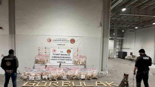 Ticaret Bakanlığı Gümrükler Muhafaza ekipleri, kaçakçılıkla mücadelesini sürdürüyor