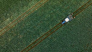 Çiftçilere 255,4 milyon lira tarımsal destekleme ödemesi