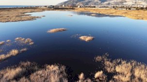 Hatay'da Milleyha Kuş Cenneti yağışlarla yeniden doldu